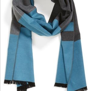 Chelsey Variegated Stripe Silk Muffler